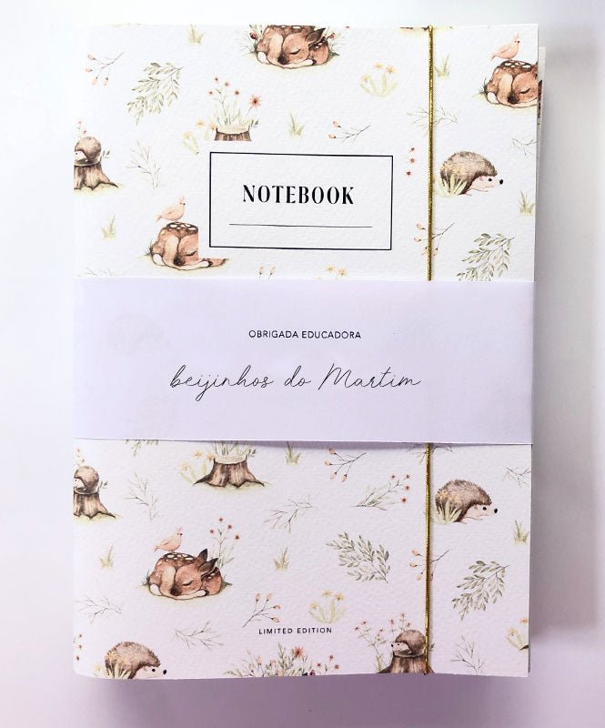 Pack de cadernos Professor/Educador - Cadernos Catita illustrations