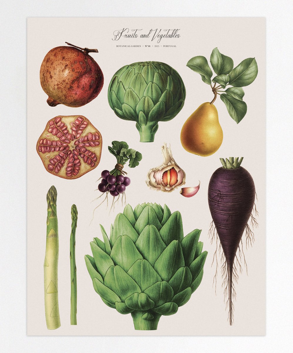 Fruits and Vegetables Nr1 - Posters Catita illustrations