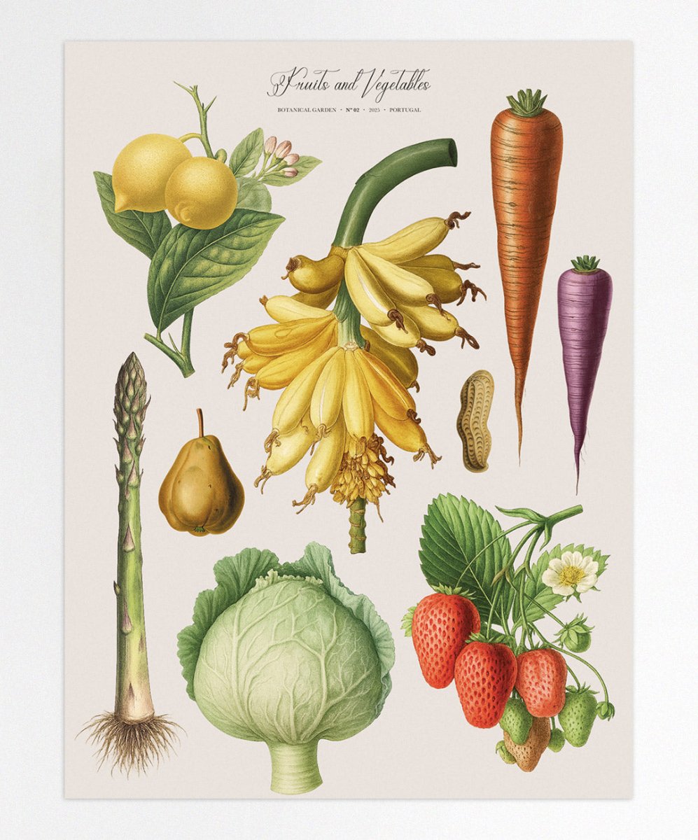 Fruits and Vegetables Nr2 - Posters Catita illustrations